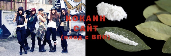 амф Гусь-Хрустальный