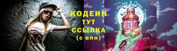 амф Гусь-Хрустальный
