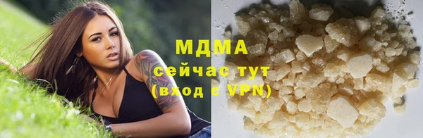 spice Гусев