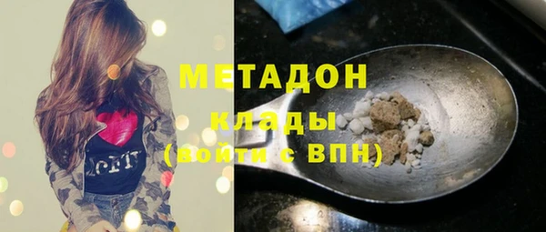 амф Гусь-Хрустальный