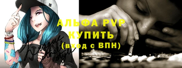 spice Гусев