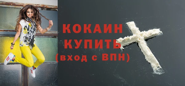 амф Гусь-Хрустальный