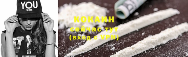 spice Гусев