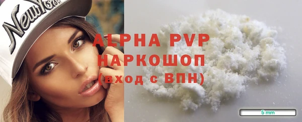 spice Гусев