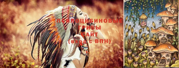 spice Гусев