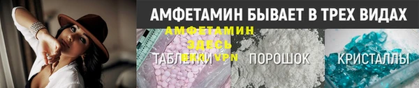 амф Гусь-Хрустальный