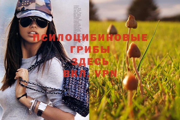 марихуана Гусиноозёрск