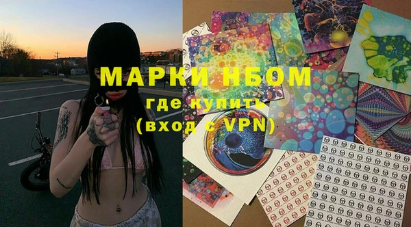 амф Гусь-Хрустальный