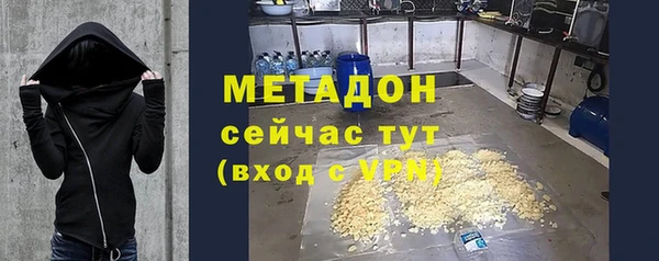 амф Гусь-Хрустальный