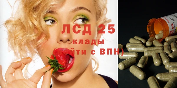амф Гусь-Хрустальный