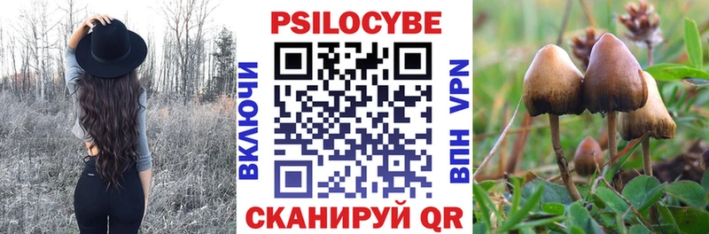 Купить  Красный Сулин  Галлюциногенные грибы мухоморы 